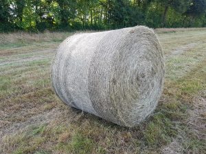 Bottes de foin ronde en agriculture biologique